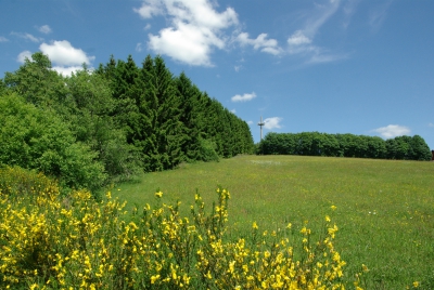 Wellness Anwendung