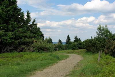 Wellness Anwendung
